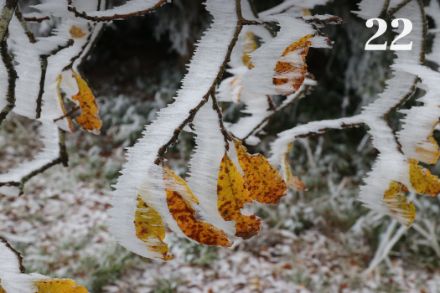 Calabrosa sul Satelegg (Svitto), 2 dicembre 2022. Foto: D. Gerstgrasser