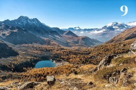 Val da Camp con i larici gialli e il Lagh da Val Viola (Grigioni). Foto: U. Graf