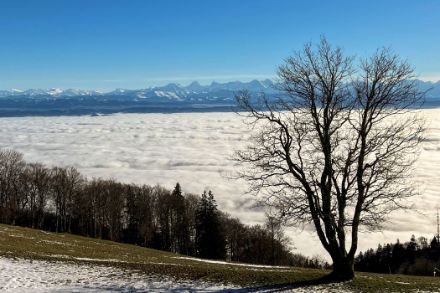Fig. 3: Nebbia estesa sull'Altopiano svizzero, vista sul versante meridionale scarsamente innevato del Weissenstein (SE) verso le Alpi. Foto: E. Zubler, MeteoSvizzera.