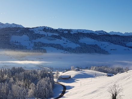 Fig. 3: sguardo da Schwellbrunn verso sudovest. Il limite superiore della nebbia (visibile a destra) si trovava a 900 metri, poco sotto al punto in cui è stata scatta la foto.