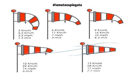 Fig. 6. Come si interpretano le maniche a vento. Fonte: RSINews-surfertoday.com