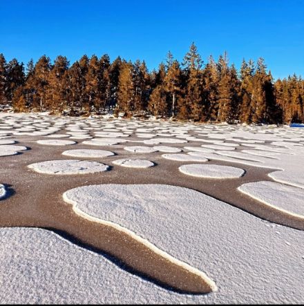 Etang de la Gruère, Franches Montagnes, il 29 dicembre 2024. Foto di Florence Waecker. 