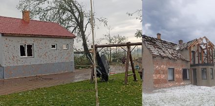Esempi di danni da grandine causati dal vento in Lettonia. Fotografie scattate da Anita Zieda-Misule e Iveta Bremane.