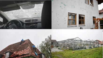 Esempi di danni causati dalla grandine nella Germania meridionale. Fotografie scattate da Claudia Koestler, Harry Wolfsbauer, Manfred Neubauer e Harry Wolfsbauer e pubblicate su Süddeutsche Zeitung