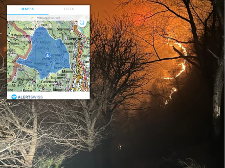 L'incendio soprattutto durante la notte ha mostrato dei fronti di fuoco piuttosto intensi. Anche sull'applicazione di Alertswiss è stato mandato un avviso per la regione interessata. Foto: www.fondazionemalcantone.ch