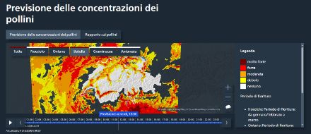 Figura 2: Conteggio dei pollini di betulla modellato per venerdì 22 marzo, 12:00. Colpisce l'elevato numero di pollini presenti a sud delle Alpi, in alcune valli alpine e alle quote più basse dell'Altopiano centrale. Le medie e alte quote delle montagne sono in gran parte prive di pollini. 