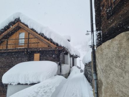 Fig. 2. A Bosco Gurin le nevicate sono state composte da fiocchi di neve molto bagnati fino al pomeriggio di ieri e il manto nevoso aumentava di spessore solo lentamente. Da ieri sera, con l’intensificazione delle nevicate, il limite delle nevicate è calato a quote inferiori rendendo la neve a Bosco Gurin più asciutta rispetto a ieri. Foto: Manuela Bosia.