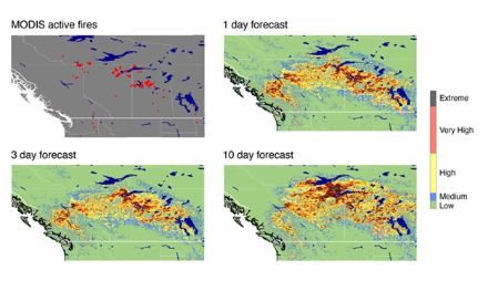 Figura 2: Incendi osservati dal satellite MODIS il 15 maggio 2023 (aree rosse, in alto a sinistra) quando l'attività degli incendi ha raggiunto il picco, rispetto alle previsioni di 1 km di 1, 3 rispettivamente 10 giorni prima. La barra colorata indica la probabilità di incendio dal modello PoF.
