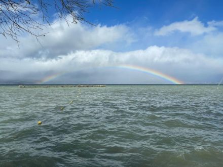 Fig. 6: Onde sul lago di Neuchâtel a Châbles (FR) provocate dal vento di Joran sabato 23 marzo 2024.