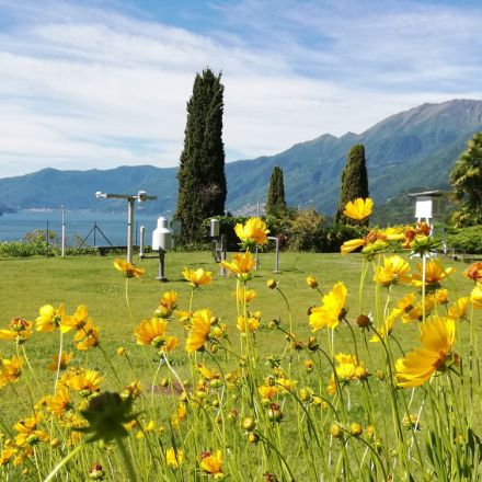 Stazione di misura di Locarno-Monti.