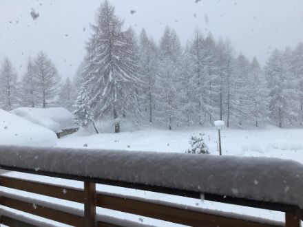 Lo scorso anno a Pasqua la primavera ha mostrato il suo lato più invernale. Nevicata intensa al Maloja il 27 marzo 2024. Fonte: Segnalazioni App MeteoSvizzera.