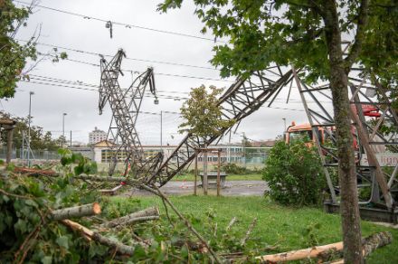 Figura 1: foto dei danni nel quartiere delle Forges il giorno dopo il temporale, con pali elettrici spezzati e alberi caduti. Foto: Lionel Peyraud, MeteoSuisse.