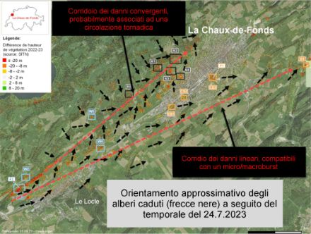 Figura 3: Rappresentazione dell'orientamento approssimativo degli alberi caduti intorno alla città di La Chaux-de-Fonds osservati dopo l'evento temporalesco (vettori neri). Le linee rosse mostrano i percorsi approssimativi che hanno causato i danni: sul lato sud, venti di tipo microburst, più rettilinei, e sul lato nord, una probabile circolazione tornadica con una caduta di alberi che in alcuni punti era altamente convergente.