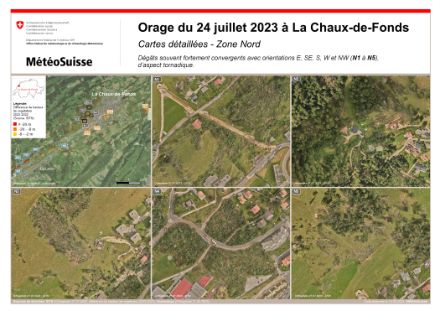 Figura 5: Danni osservati sul fianco settentrionale di La Chaux-de-Fonds, area contrassegnata da rettangoli neri (N3) sulla mappa in alto a sinistra. La scala è indicata nell'angolo in basso a destra di ogni foto. 