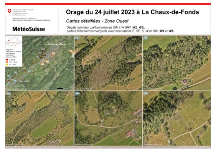 Figura 4: Danni osservati sul fianco occidentale di La Chaux-de-Fonds, area contrassegnata da rettangoli blu (N3) sulla mappa in alto a sinistra. La scala è indicata nell'angolo in basso a destra di ogni foto.