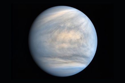 Fotografia in luce ultravioletta dalla sonda giapponese Akatsuki e resa in falsi colori. L'immagine rivela la complessità delle nubi che ricoprono Venere. 