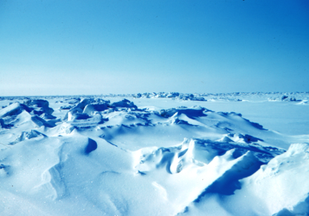 In molti luoghi, l'Artico è coperto di ghiaccio tutto l'anno. Il ghiaccio può avere una temperatura massima di 0 gradi. Quando una massa d'aria proveniente da queste zone raggiunge la Svizzera, è naturalmente fredda, anche se si riscalda sensibilmente durante il suo lungo viaggio verso il nostro Paese.
