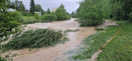 Fig. 4: Rilassamento in vista sui corsi d'acqua. L'acqua si sta lentamente ritirando sui grandi fiumi. Tuttavia, nei prossimi giorni i livelli dei singoli torrenti e dei fiumi più piccoli potrebbero risalire brevemente in caso di forti rovesci o temporali. L'immagine mostra il Töss vicino a Winterthur. Segnalazioni /App/MeteoSvizzera