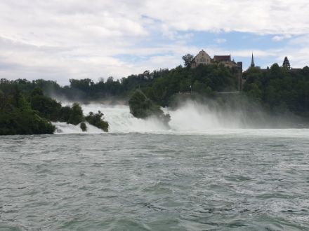 Le cascate del Reno con un importante volume d'acqua.