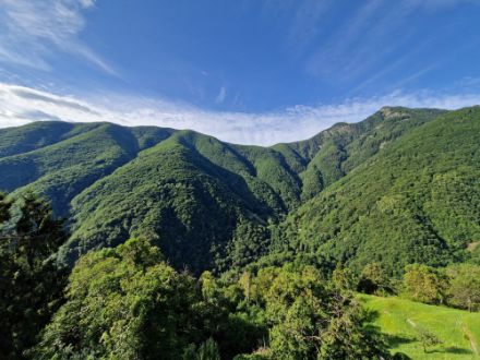 Panorama sui boschi della valle Onsernone