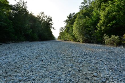 Figura 3: Letto del fiume Emme presso Aefligen (BE) prosciugato a giugno 2022.