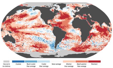 Figura 3. Anomalie della temperatura superficiale del mare ed estremi per il luglio 2024. Le categorie colorate si riferiscono ai percentili delle distribuzioni di temperatura per il periodo di riferimento 1991-2020. Le categorie estreme ("Più freddo" e "Più caldo") si basano sulle classifiche per il periodo 1979-2024. I valori sono calcolati solo per gli oceani privi di ghiaccio. Le aree coperte da ghiacci nel giugno 2024 sono indicate in grigio chiaro. Fonte: Copernicus 
