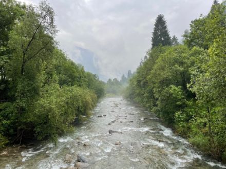 Figura 5. Fiume Ticino "fumante", giugno 2024. A causa delle abbondanti piogge e della forte fusione delle nevi ancora presenti in quota la temperatura dell'acqua è molto bassa. L'acqua fredda raffredda gli strati bassi dell'atmosfera abbassando la temperatura. Il punto di rugiada è raggiunto, il vapore acqueo presente condensa rendendo visibili le goccioline d'acqua tramite il sottile strato di nebbia appena sopra il fiume.