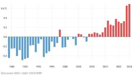 Fig. 3: Anomalia della temperatura media globale di tutte le estati dal 1979 al 2024. 