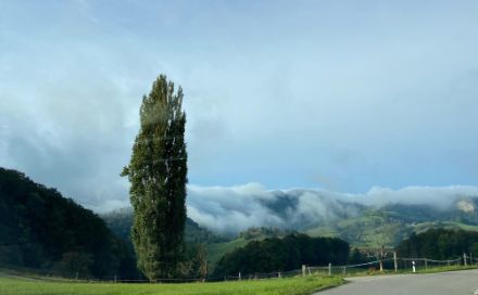 Fig. 2: Sullo sfondo banchi di nubi che avvolgono in parte la cima e il versante delle colline. Se vi veniste a trovare in quella zona, si direbbe che siete nella nebbia, poiché la nube è a contatto con il suolo e la visibilità è sicuramente inferiore ai 15 km. Foto da Eptingen (Canton Basilea Campagna). Fonte: segnalazioni meteo (app MeteoSvizzera). 