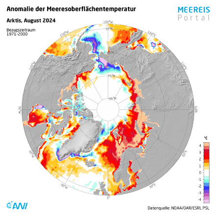 Mappa dell'anomalia della temperatura dei mari artici nel mese di agosto 2024