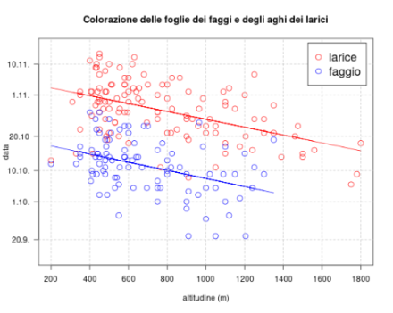 Data media della colorazione delle foglie dei faggi e degli aghi di larice a seconda dell’altitudine delle stazioni di osservazione fenologica (periodo 1991-2020). La tendenza lineare (linee blu e rossa) mostra l’avanzare della colorazione dalla montagna alle zone di pianura con una velocità di 1,1 giorni ogni 100 metri di dislivello. (© MeteoSvizzera)