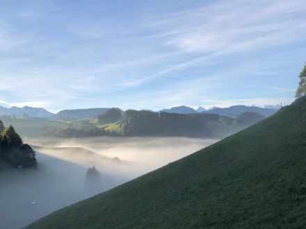 Fig. 4: Dicken, questa mattina - Foto: segnalazioni meteo (app MeteoSvizzera). 