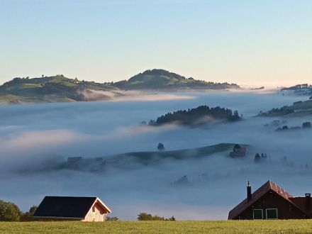 Fig. 3: Hemberg questa mattina - Fonte: segnalazione meteo (app MeteoSvizzera). 