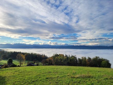 Uetikon am See: uno strato di nebbia ricopre il lago di Zurigo mentre lo strato superiore delle nubi indica la presenza di una corrente favonica. Fonte: Segnalazioni meteo tramite app di MeteoSvizzera. 