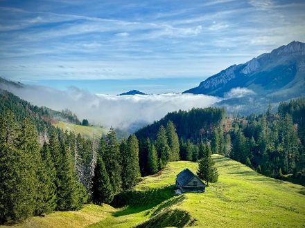 Fig. 5: La nebbia alta si è spinta fino ai piedi delle Alpi questa mattina, come qui nell'Alpstein vicino a Weissbad AI.
