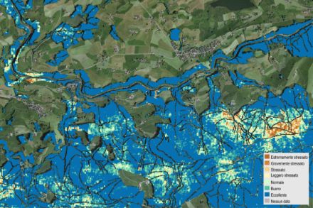 Mappa satellitare della foresta a nord di Raten (ZG) nel mese di agosto 2023. 