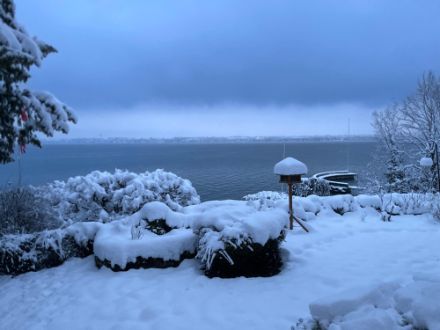 Figura 7. Più di 15 cm di neve fresca a Versoix la mattina del 10 gennaio 2024. 