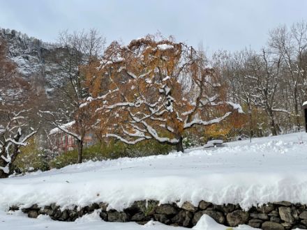 Accumuli di neve in parte da primato a nord delle Alpi il 21 novembre, sorpresa nevosa anche a Sud delle Alpi. Foto: L. Nisi.