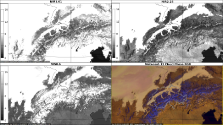 Riflettività della superficie terrestre nei canali Meteosat-12 VIS 0.6 nella gamma spettrale visibile (in basso a sinistra), NIR 1.6 (in alto a sinistra) e NIR 2.2 (in alto a destra) nella gamma Near Infrared il 29 dicembre 2024, ore 1000 UTC. Le superfici altamente riflettenti come la neve, il ghiaccio e le nuvole di acqua liquida appaiono bianche, mentre le aree meno riflettenti della superficie terrestre come i laghi o il mare sono scure o nere.