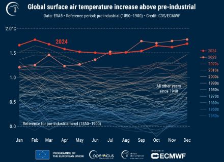 Grafico a linee che mostra l'andamento della temperatura mensile per anno dal 1940 in poi, una linea per anno.