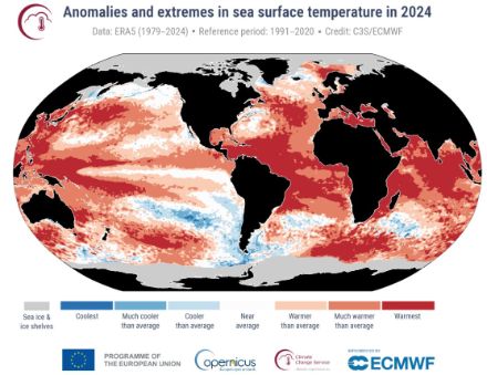 Mappa mondiale che mostra la distribuzione della temperatura superficiale del mare.