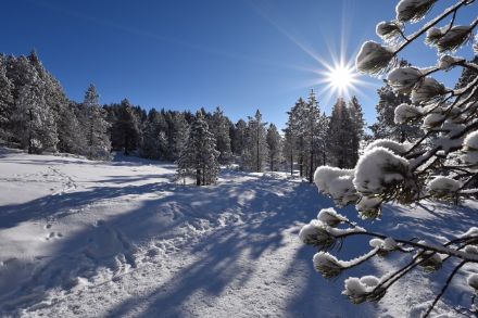 Giornata invernale soleggiata lunedì 13.1. nella Grossschlierental. Foto: U. Graf