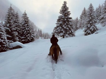 Nei boschi di Curaglia (Medel) nella Surselva questa mattina. 