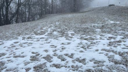 Non solo il limite delle nevicate è risultato in calo nel pomeriggio di lunedì, ma parallelamente anche il limite della neve. Nell'immagine siamo a una quota di 1200 metri circa. Foto: L. Nisi