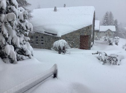 Le precipitazioni in Val Bregaglia, in Valposchiavo e in Engadina sono continuate per buona parte della giornata odierna. In montagna le nevicate sono risultate copiose. Nella foto Maloja. Foto: segnalazioni utenti App MeteoSvizzera