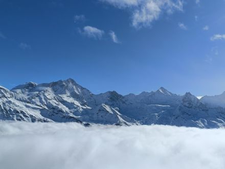 Vista da Sorebois nella Val d'Anniviers, venerdì 31 gennaio 2025. (Fonte: osservazione meteo @ applicazione MeteoSvizzera). 