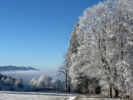 Paesaggio bianco su cielo blu.