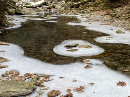 Torrente in cui la superficie è parzialmente ghiacciata.