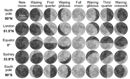 Fig. 1: le varie fasi al sorgere della Luna viste dai poli, dall’equatore e dalle medie latitudini. Si noti anche la differente orientazione apparente della Luna, che nell’emisfero sud appare “rovesciata” rispetto all’emisfero nord 