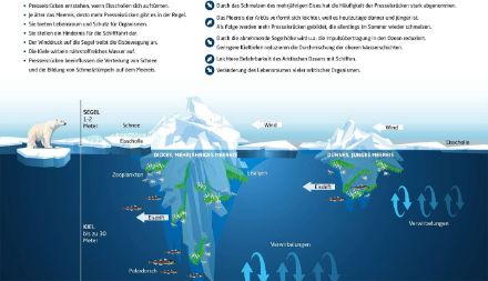 Grafico che illustra le creste di pressione nel ghiaccio e la loro interazione con l'ambiente.